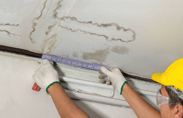 Reliable Mold Remediation contractor in Triangle, VA by Water Damage Irwin